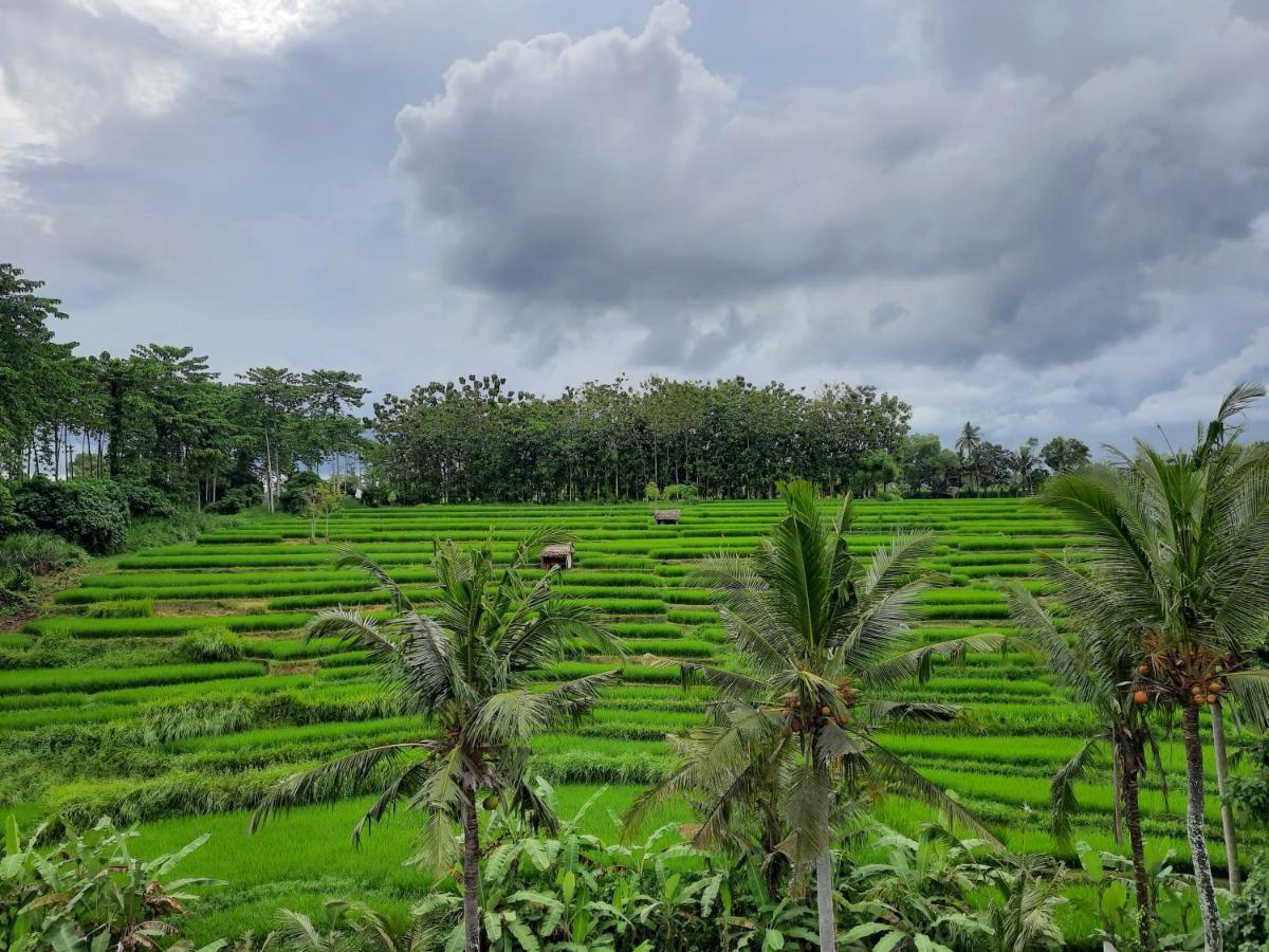 Serenity Private Villa Mas Ubud ภายนอก รูปภาพ