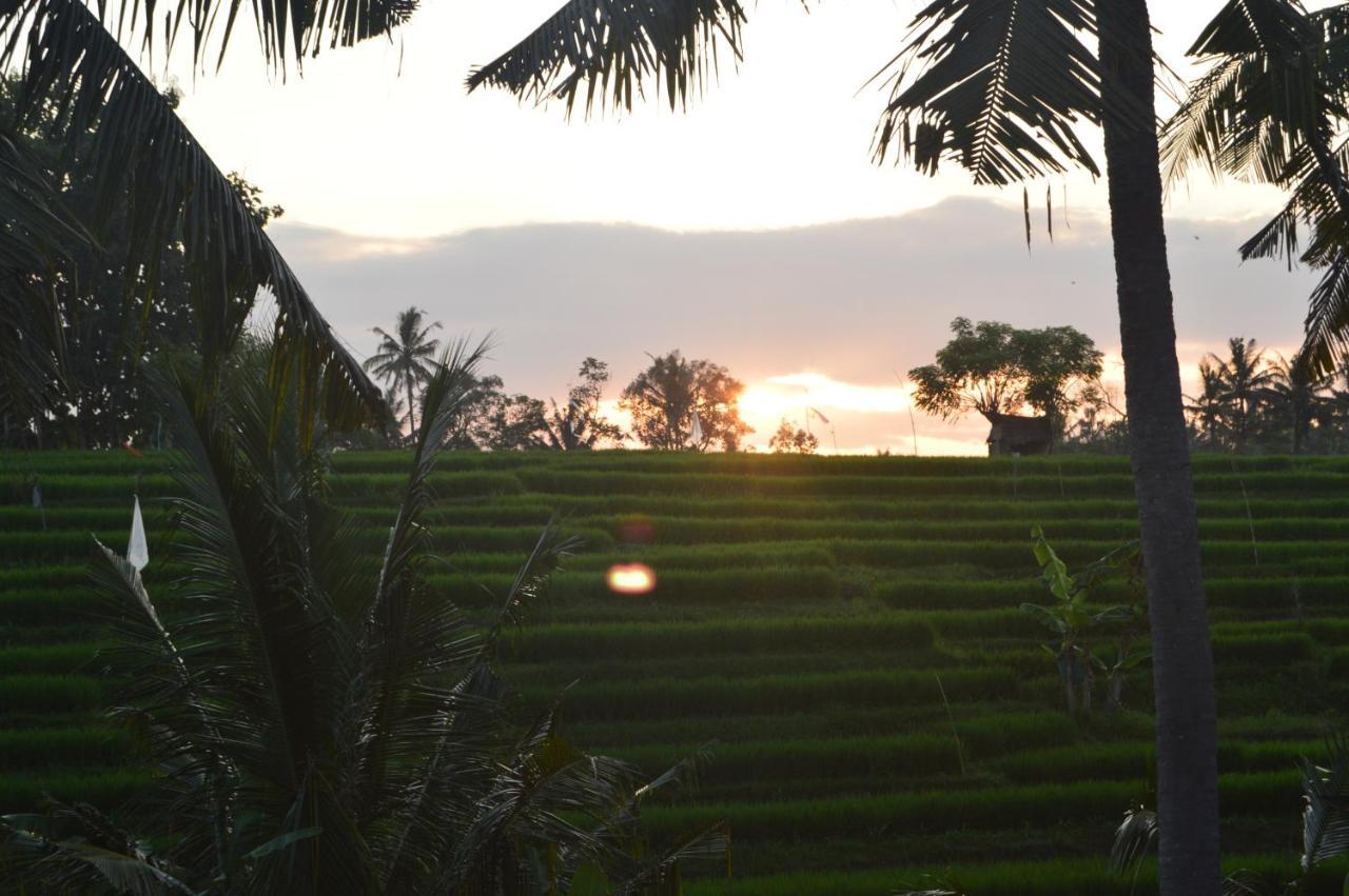 Serenity Private Villa Mas Ubud ภายนอก รูปภาพ