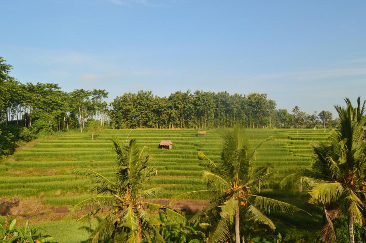 Serenity Private Villa Mas Ubud ภายนอก รูปภาพ