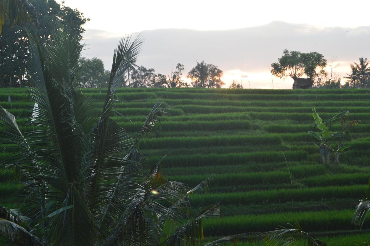 Serenity Private Villa Mas Ubud ภายนอก รูปภาพ