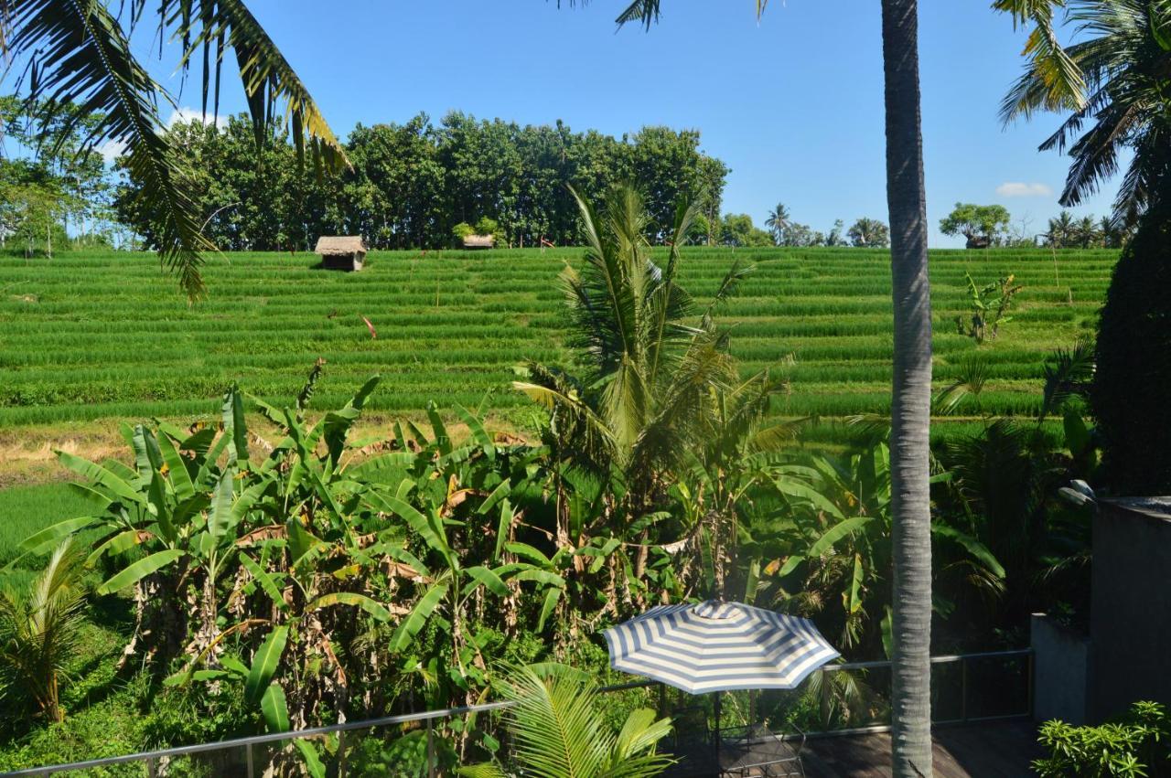 Serenity Private Villa Mas Ubud ภายนอก รูปภาพ
